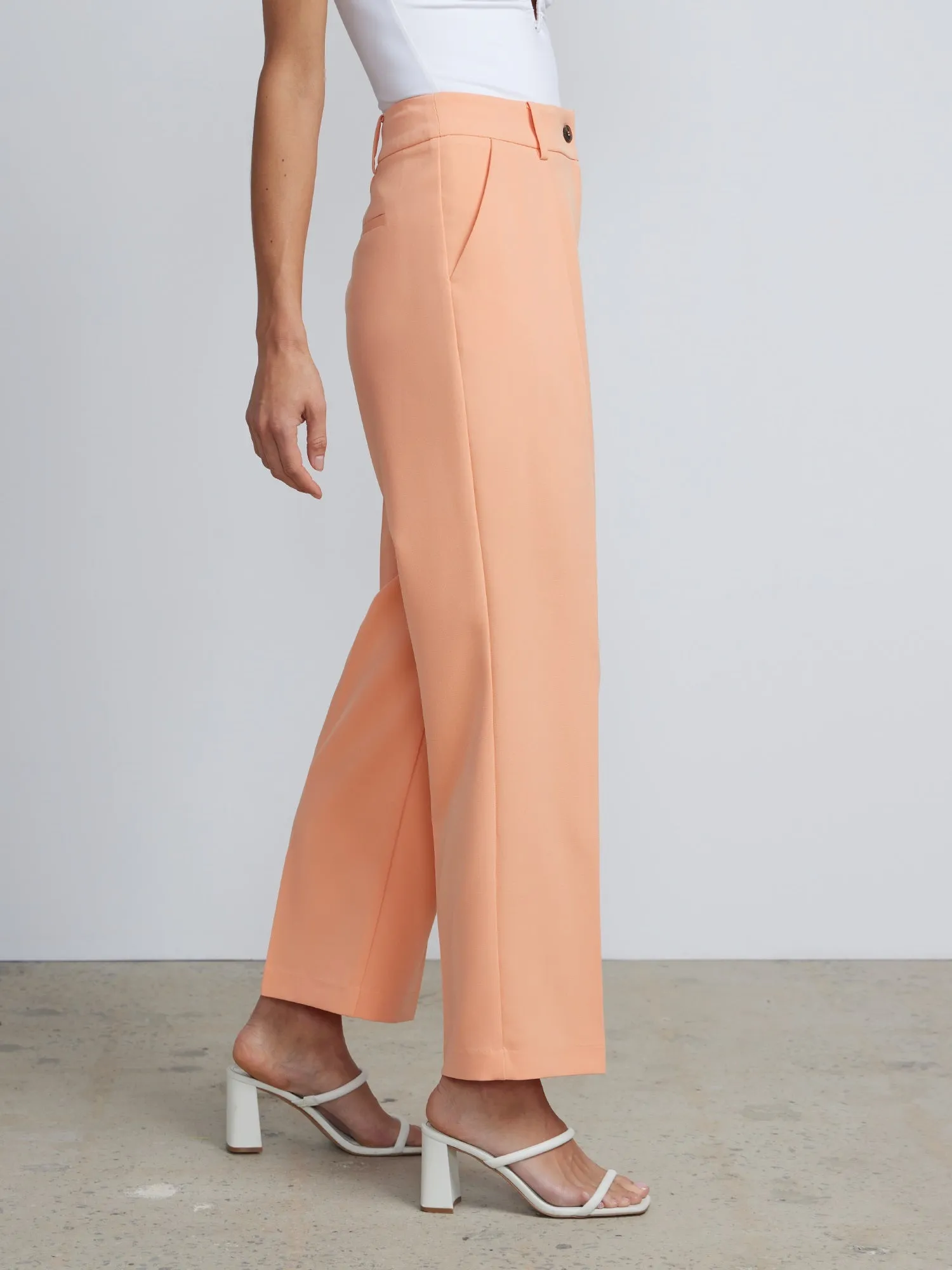 Petite High Rise Pleated Trousers